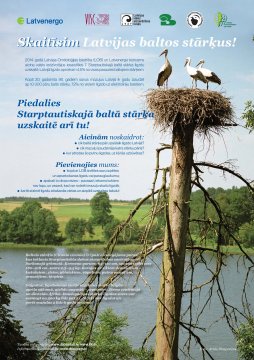 Baltā stārķa plakāts