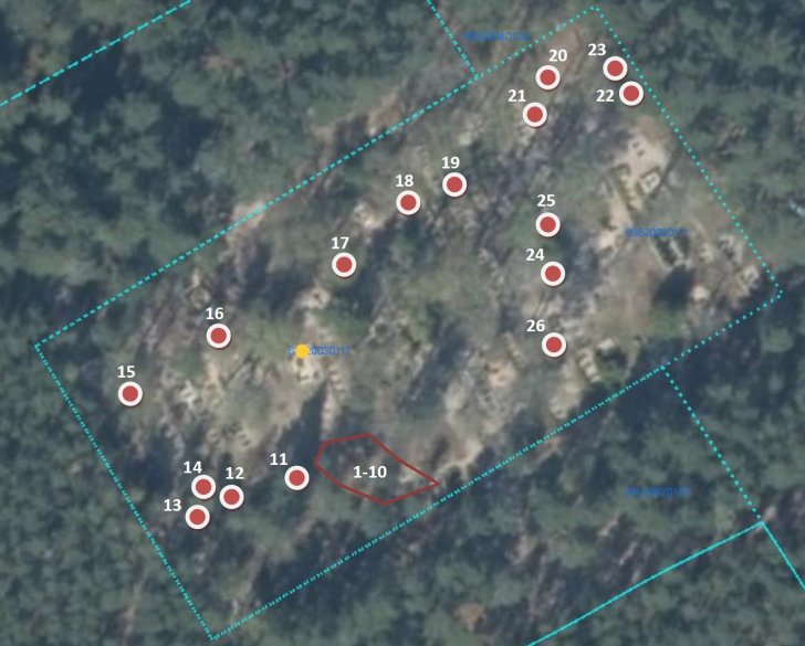 Plānotā koku ciršana Košraga kapos