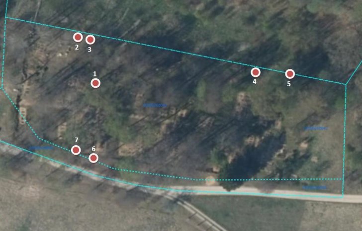 Plānotā kapu ciršana Sabdagu kapos